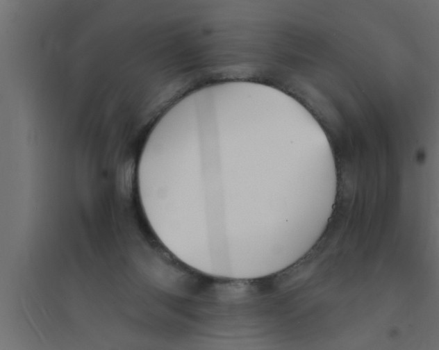 X0000094220118200711241730