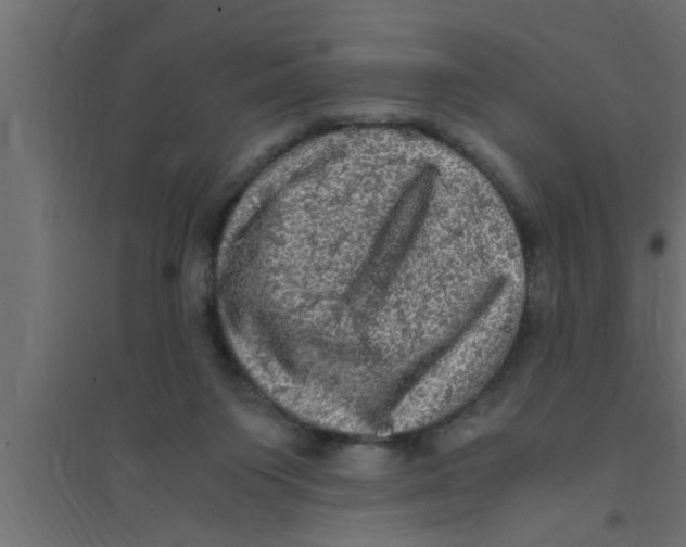 X0000094220119200711241730