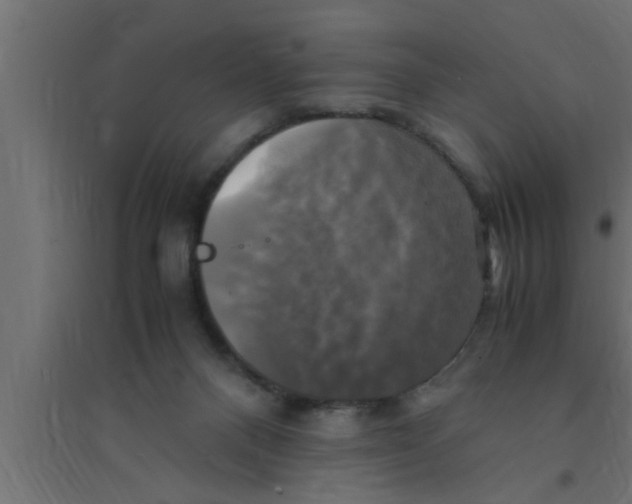 X0000094220120200711241730