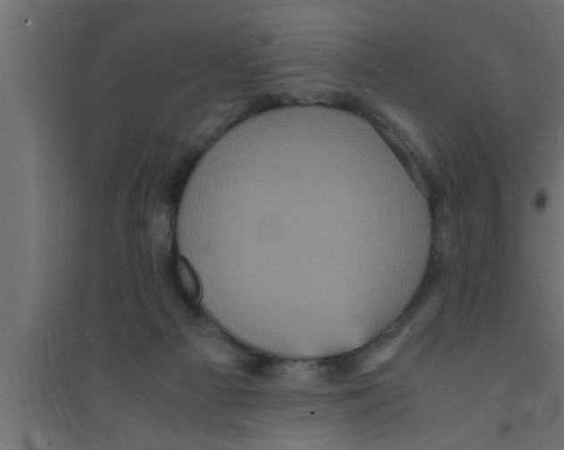 X0000094220121200711241730