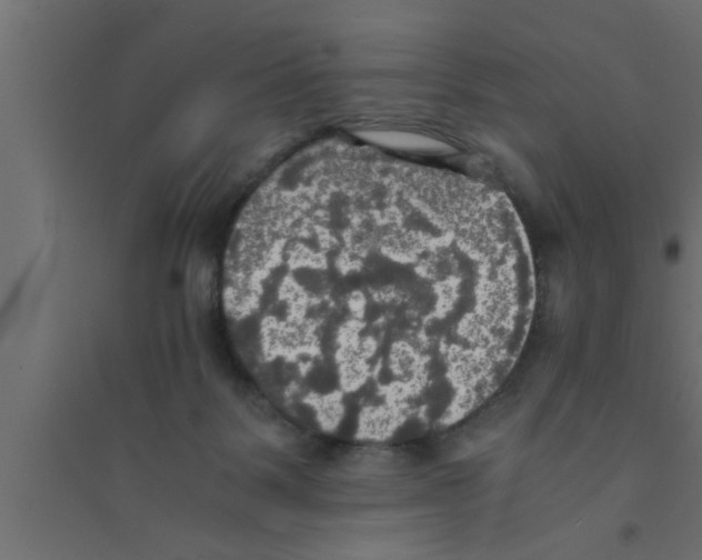 X0000094220123200711241730