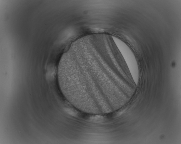 X0000094220125200711241730