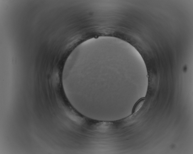 X0000094220128200711241730