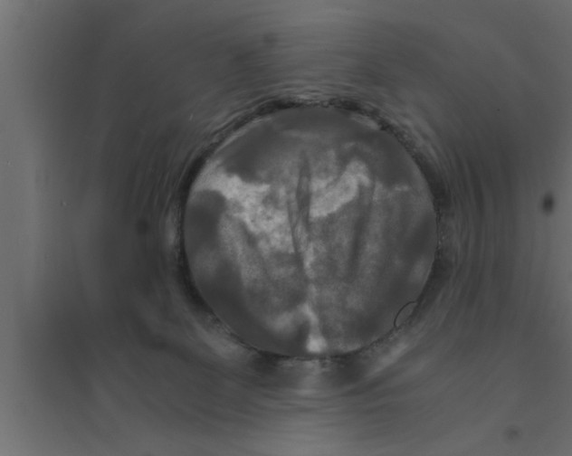 X0000094220131200711241730