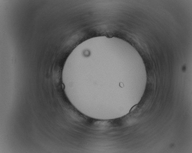 X0000094220133200711241730