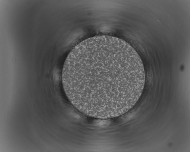 X0000094220135200711241730
