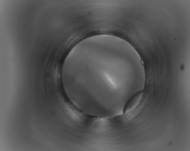 X0000094220140200711241730