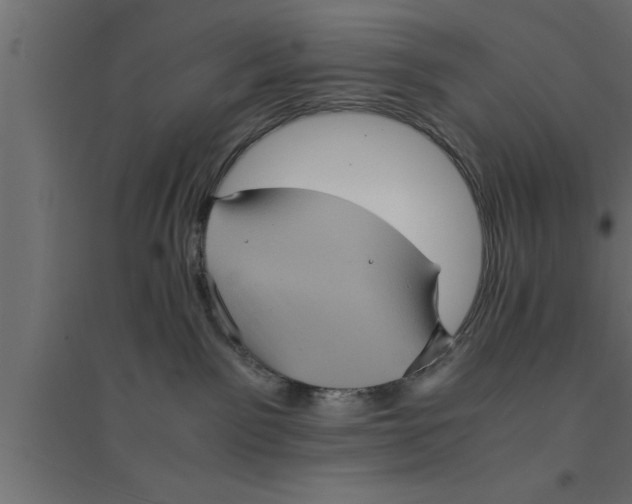 X0000094220141200711241730