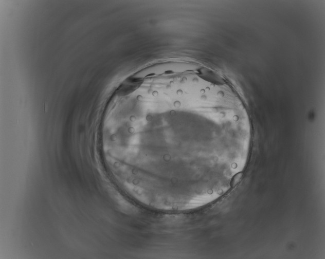 X0000094220145200711241729
