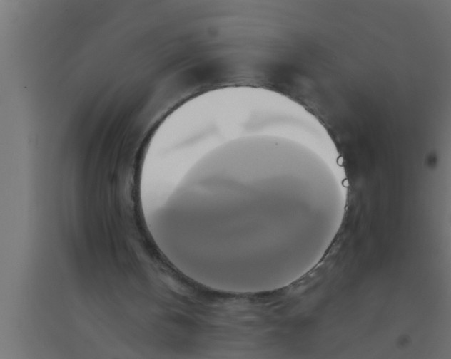 X0000094220146200711241729