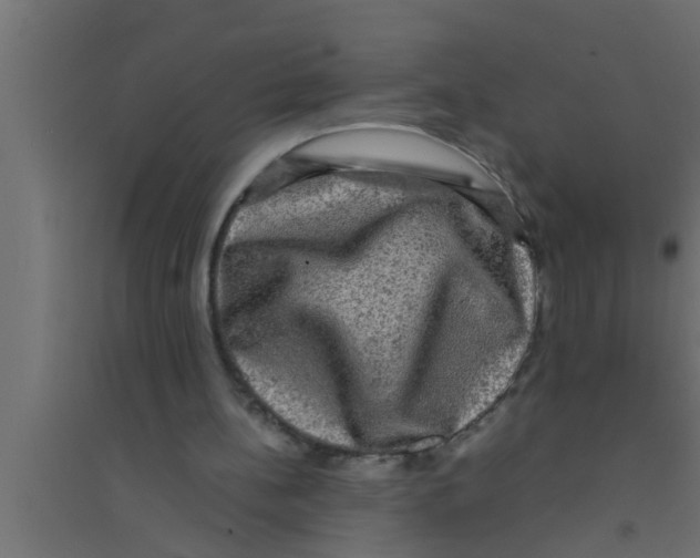 X0000094220148200711241729