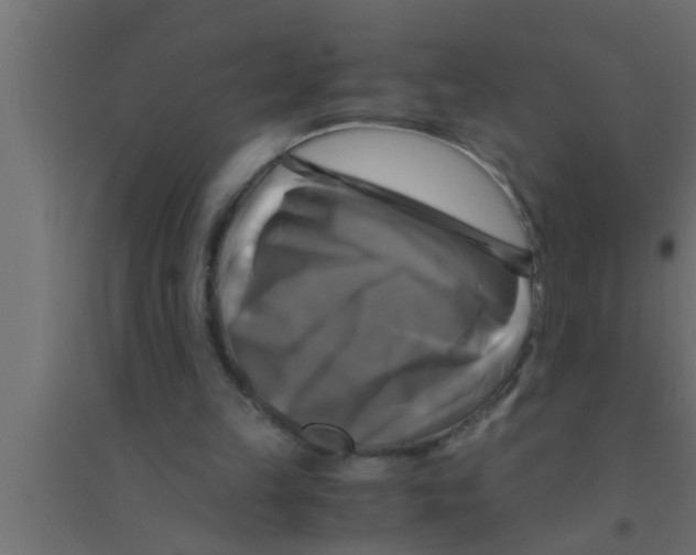 X0000094220149200711241729
