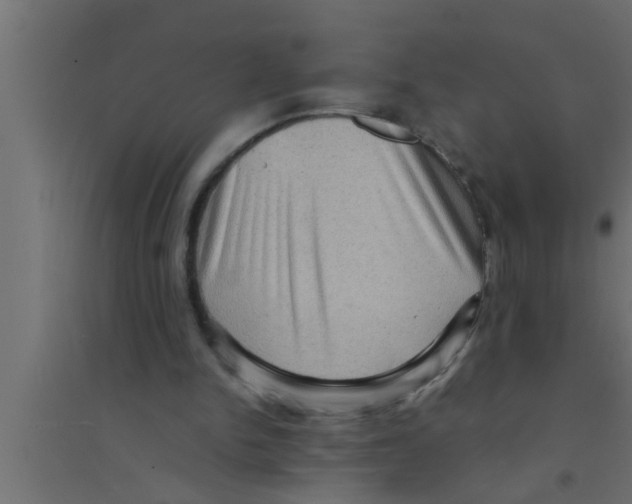 X0000094220150200711241729