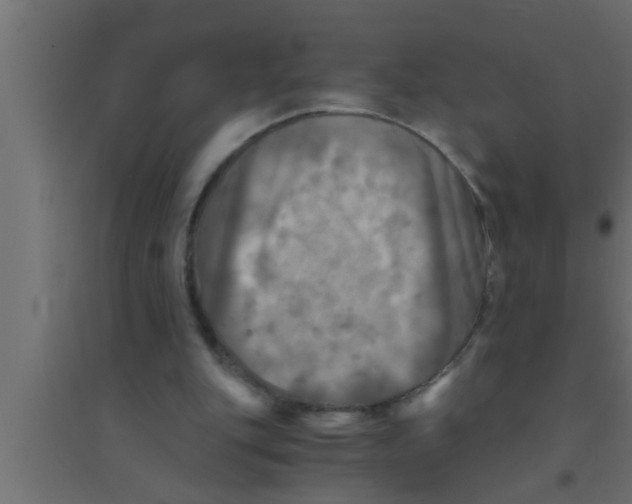 X0000094220151200711241729