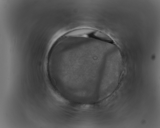 X0000094220152200711241729