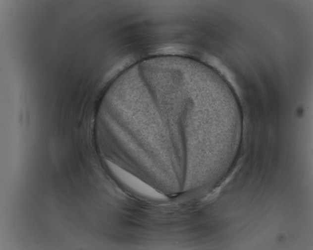 X0000094220153200711241729