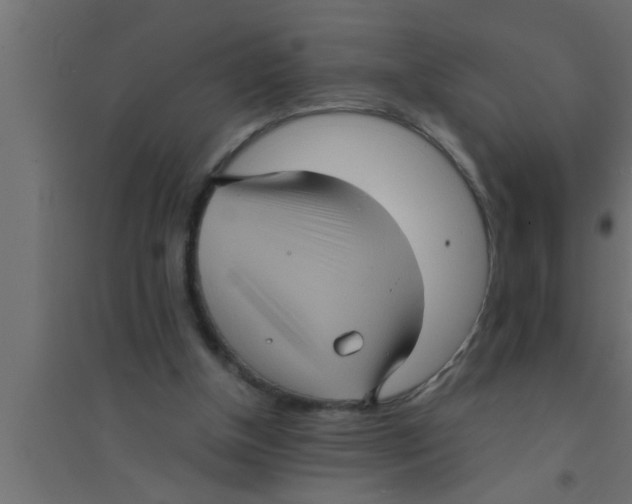 X0000094220154200711241729