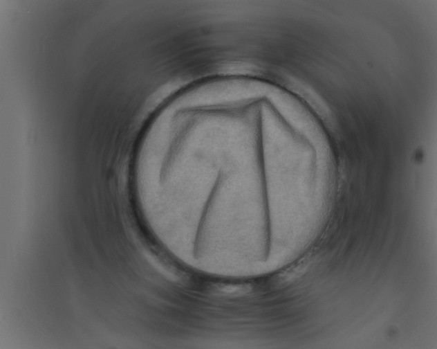 X0000094220155200711241729