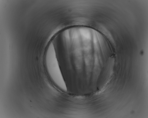 X0000094220156200711241729