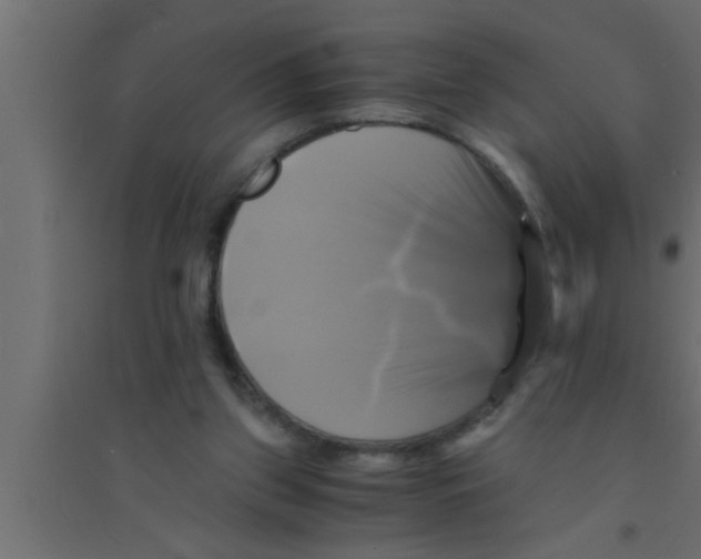 X0000094220157200711241729