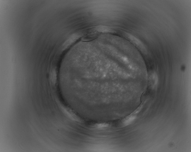 X0000094220158200711241729