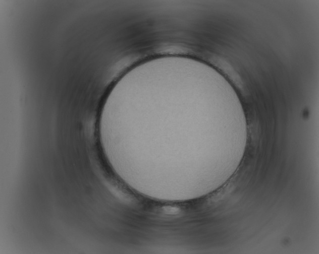 X0000094220159200711241729