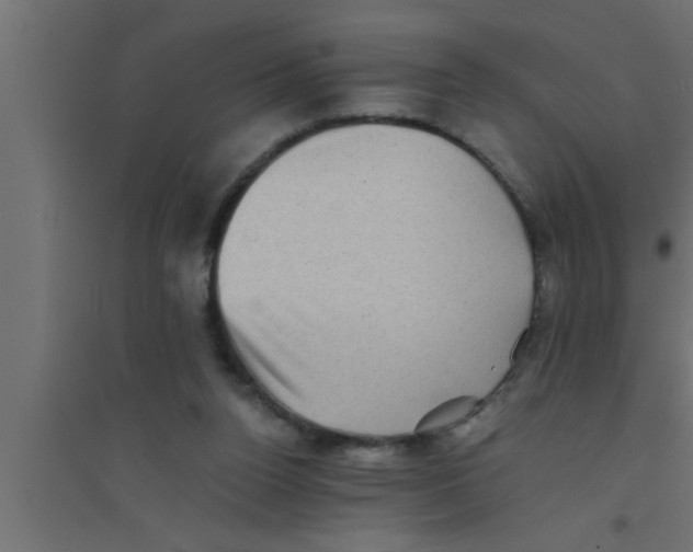 X0000094220160200711241729