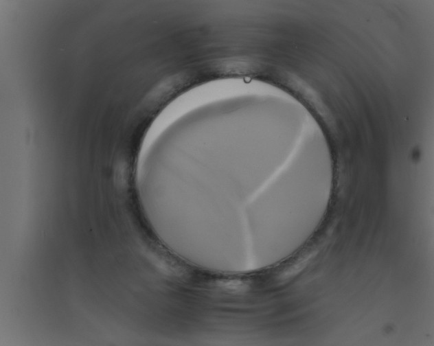 X0000094220161200711241729