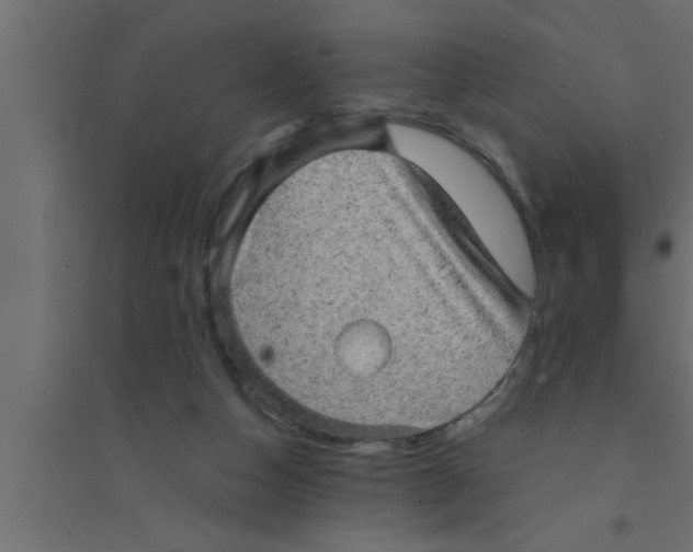 X0000094220162200711241729