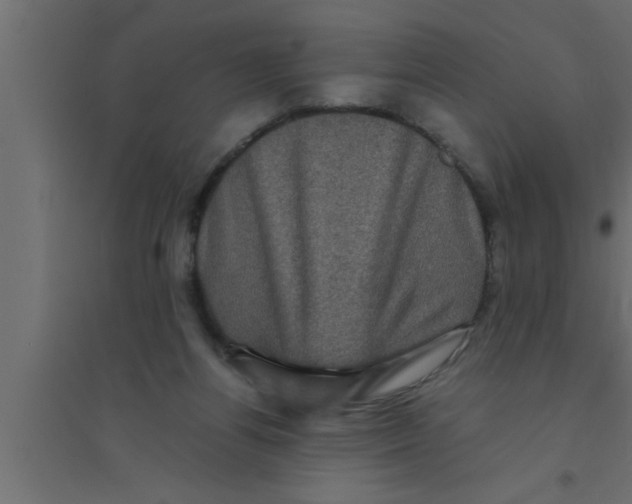 X0000094220164200711241729