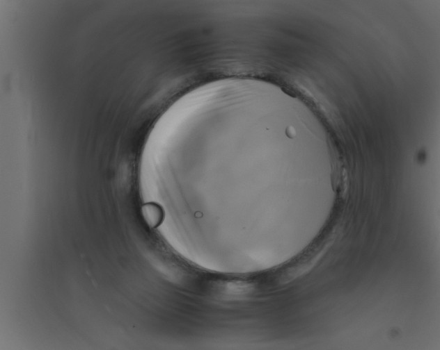 X0000094220165200711241729