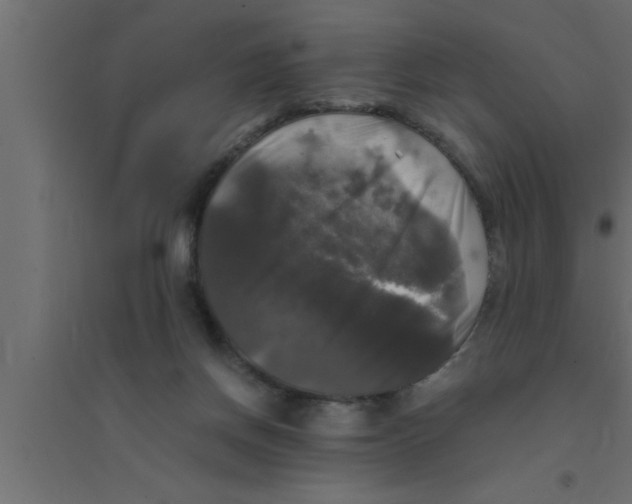 X0000094220166200711241729