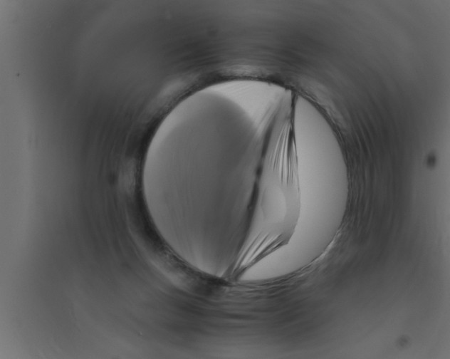 X0000094220167200711241729
