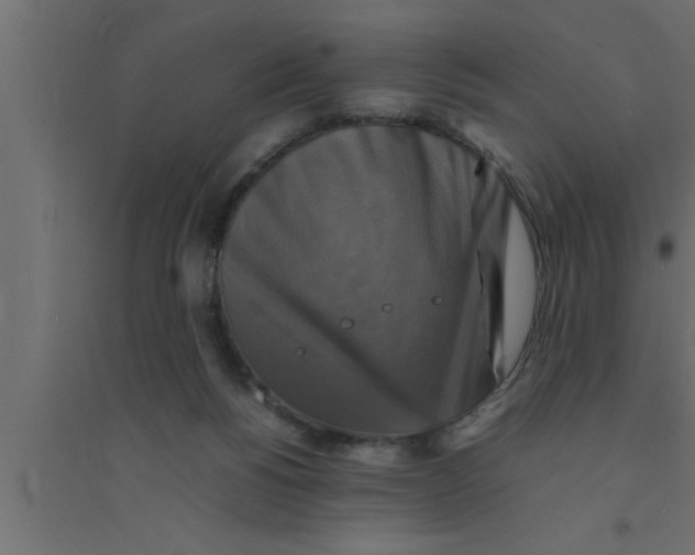 X0000094220168200711241729