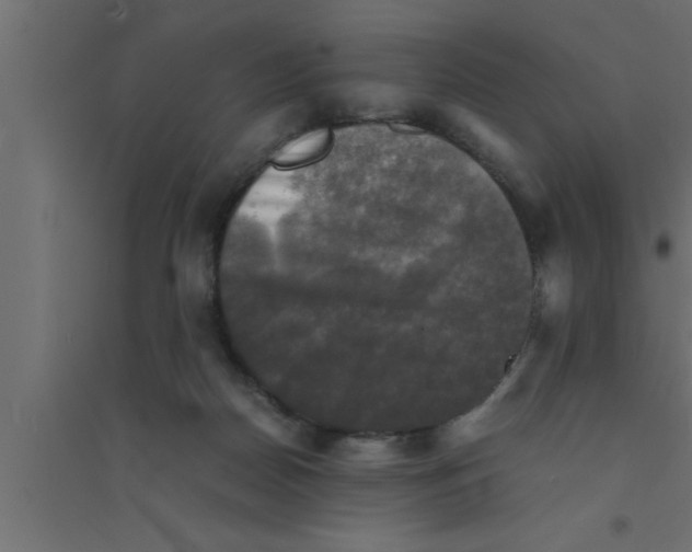 X0000094220170200711241730