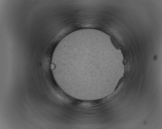 X0000094220171200711241730