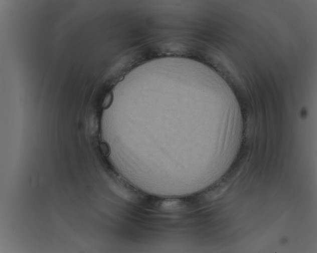 X0000094220173200711241730