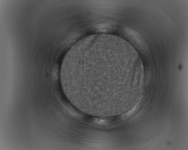 X0000094220174200711241730