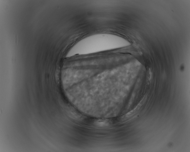 X0000094220175200711241730
