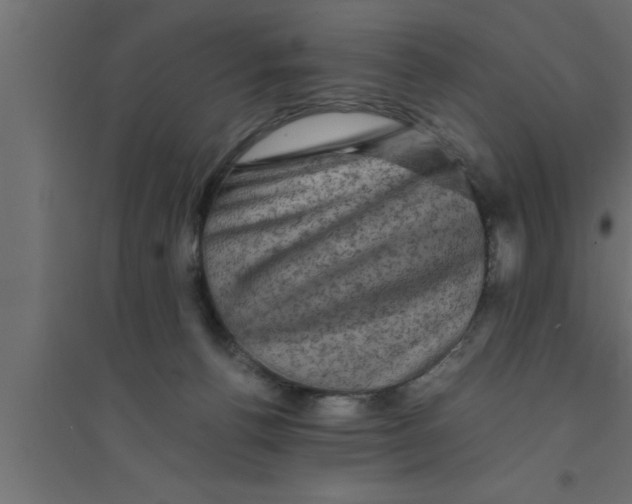 X0000094220176200711241730