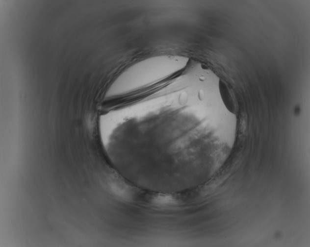 X0000094220177200711241730