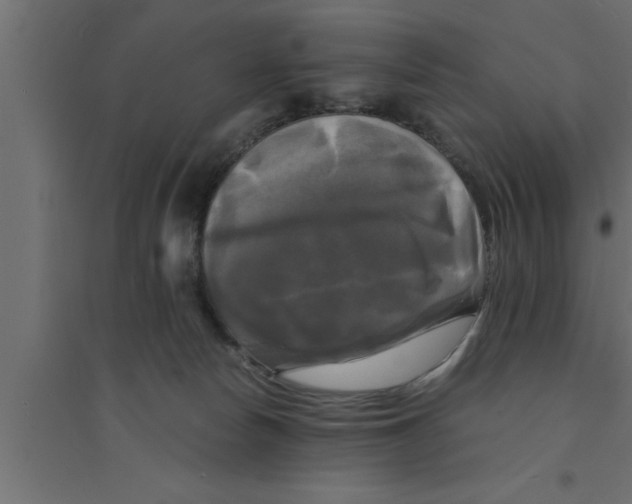 X0000094220178200711241730