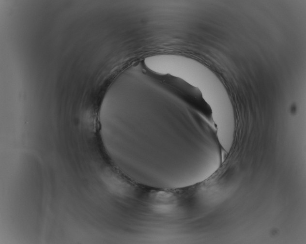 X0000094220180200711241730