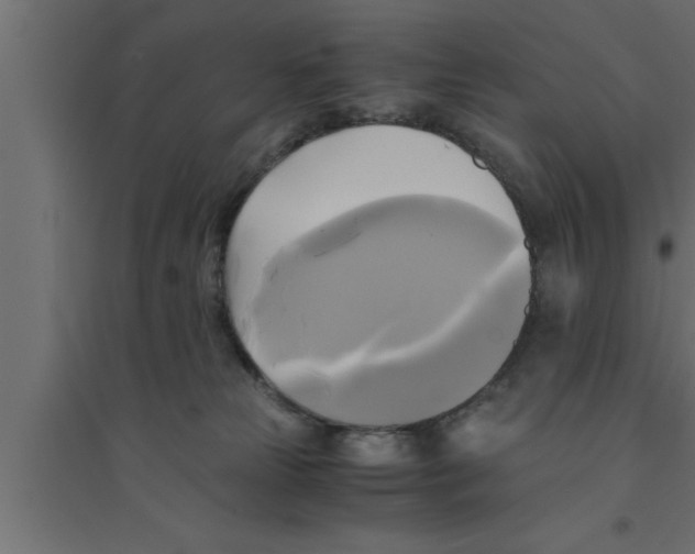 X0000094220181200711241730
