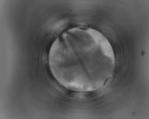 X0000094220182200711241730