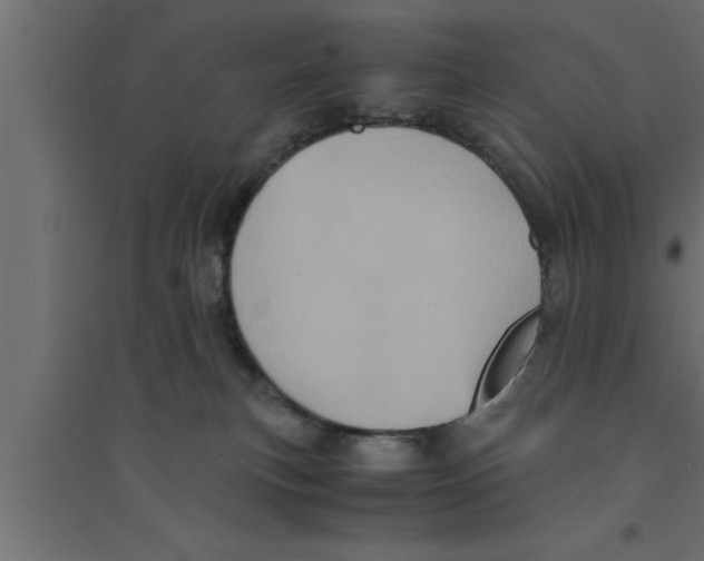 X0000094220183200711241730