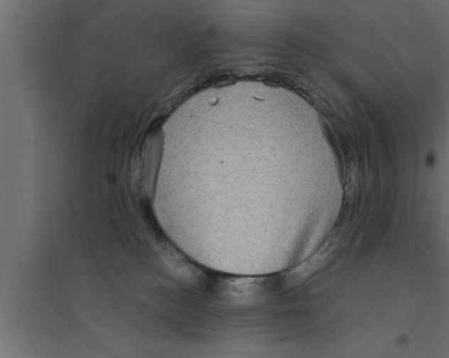 X0000094220184200711241730
