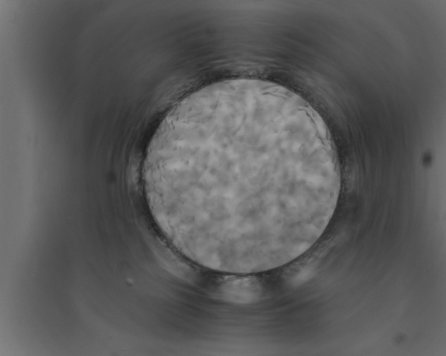 X0000094220185200711241730