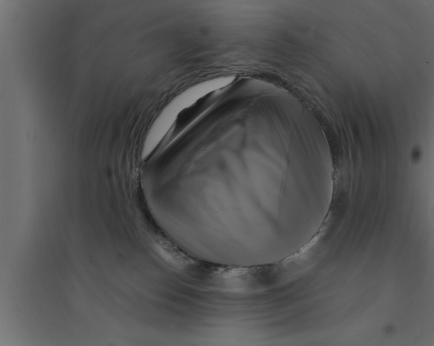 X0000094220186200711241730