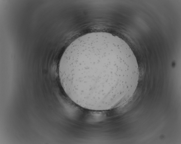 X0000094220187200711241730
